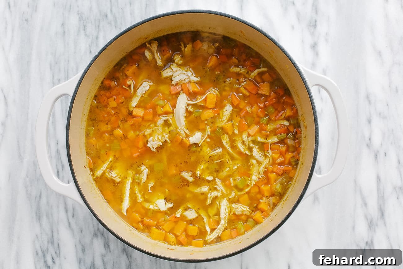 Overhead view of a soup in a dutch oven.