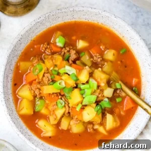 Hamburger Soup