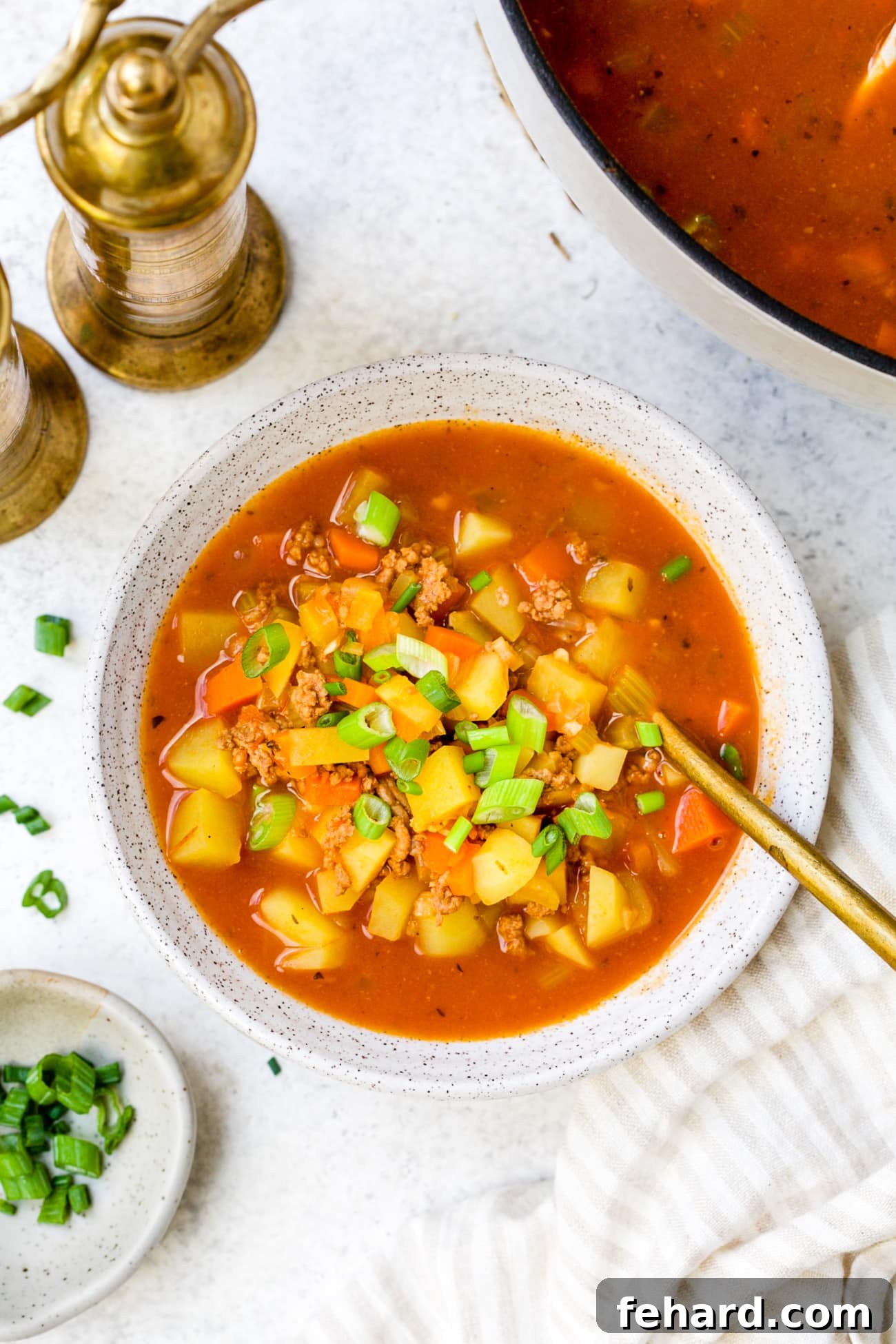 A vibrant bowl of homemade Hamburger Soup, artfully garnished with a sprinkle of fresh green onions, showcasing its rich texture and appealing colors.