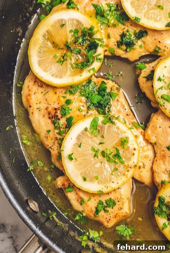Honey Lemon Chicken Skillet Chicken cutlets in skillet with glistening honey lemon sauce, garnished with fresh lemon slices.
