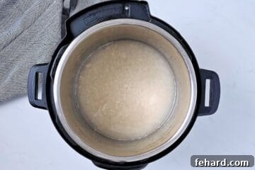 Rinsed white rice and water inside inner pot of Instant Pot.