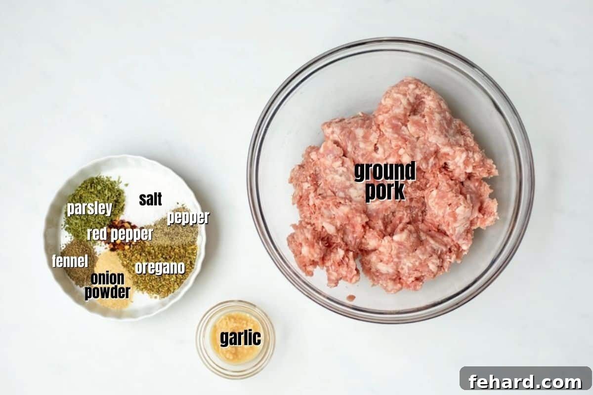 Italian Sausage Ingredient Guide Ingredients for homemade Italian sausage labeled on a kitchen counter, showcasing fresh garlic, ground meat, and various spices.