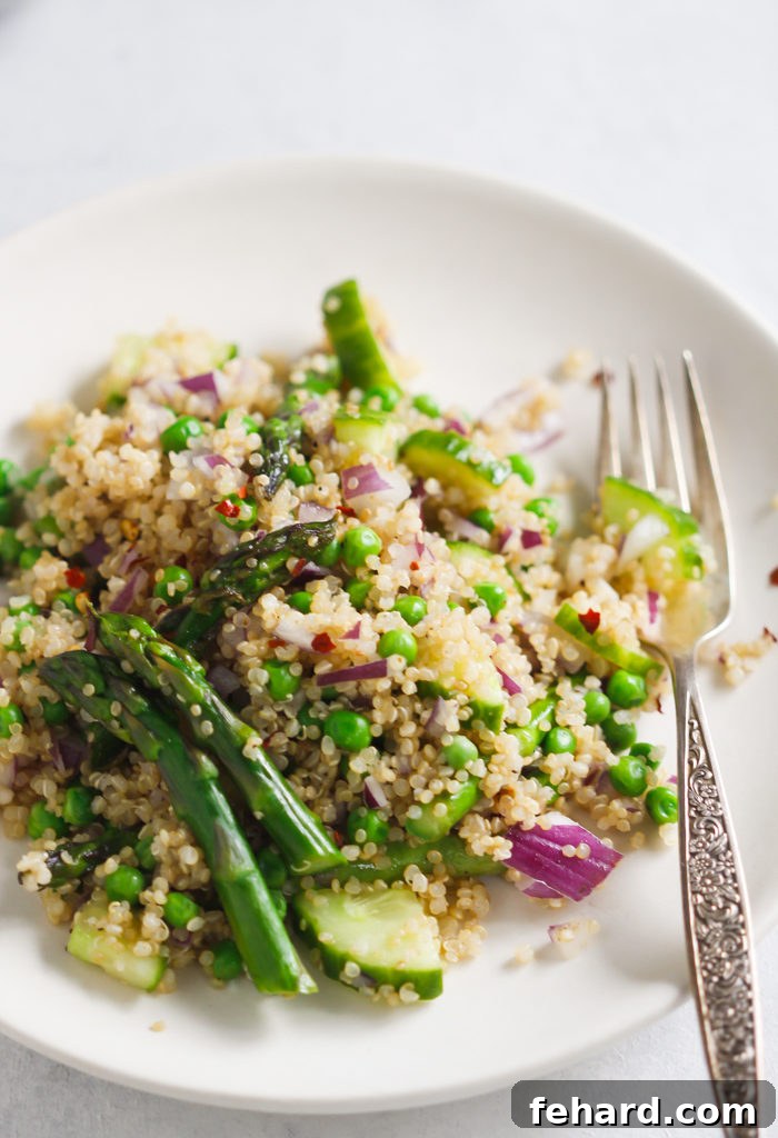 Plated Spring Quinoa Salad ready to be served, garnished with fresh herbs.