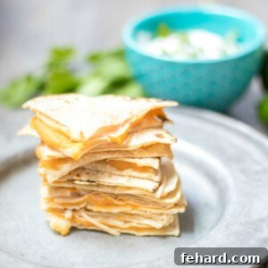 Squash and Cheese Quesadilla cut into wedges on a silver plate, showing the golden-brown tortilla and a peek of the melted cheese and subtle orange filling.