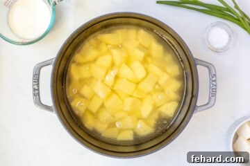 Cubed potatoes in dutch oven covered with water.