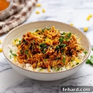 Bowl of salsa chicken topped with rice, cheese, and cilantro, a perfect hearty meal.