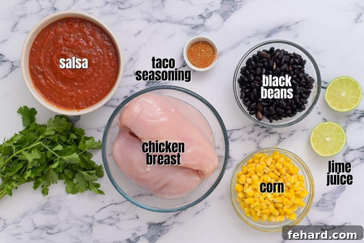 Key ingredients for crockpot salsa chicken laid out on a kitchen counter: chicken, salsa, taco seasoning, beans, corn, and a fresh lime.