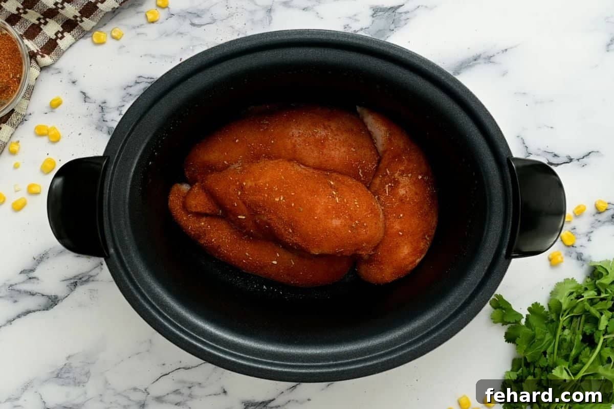 Chicken breasts seasoned with taco seasoning, carefully layered in the base of a crockpot, ready for the next ingredients.