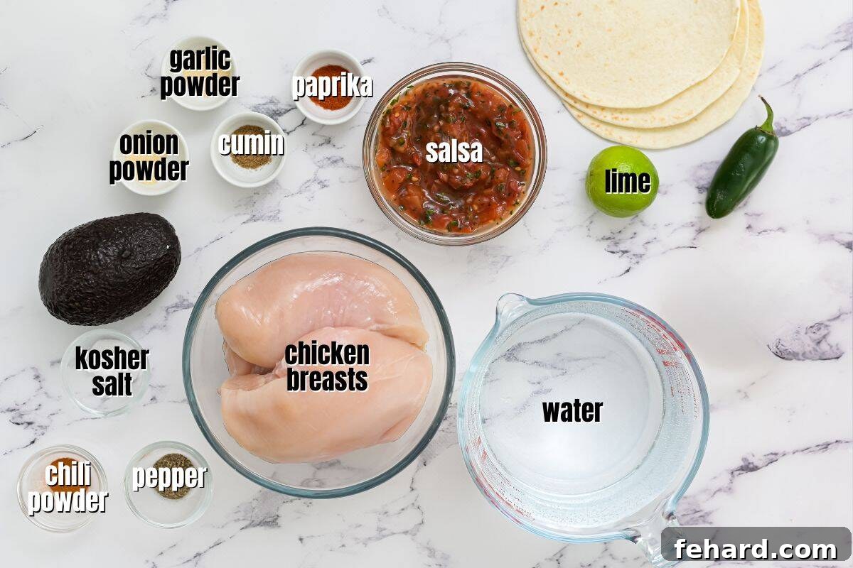 A flat lay of fresh ingredients for shredded chicken tacos, including chicken breasts, jarred salsa, a lime, and various spices for homemade taco seasoning.