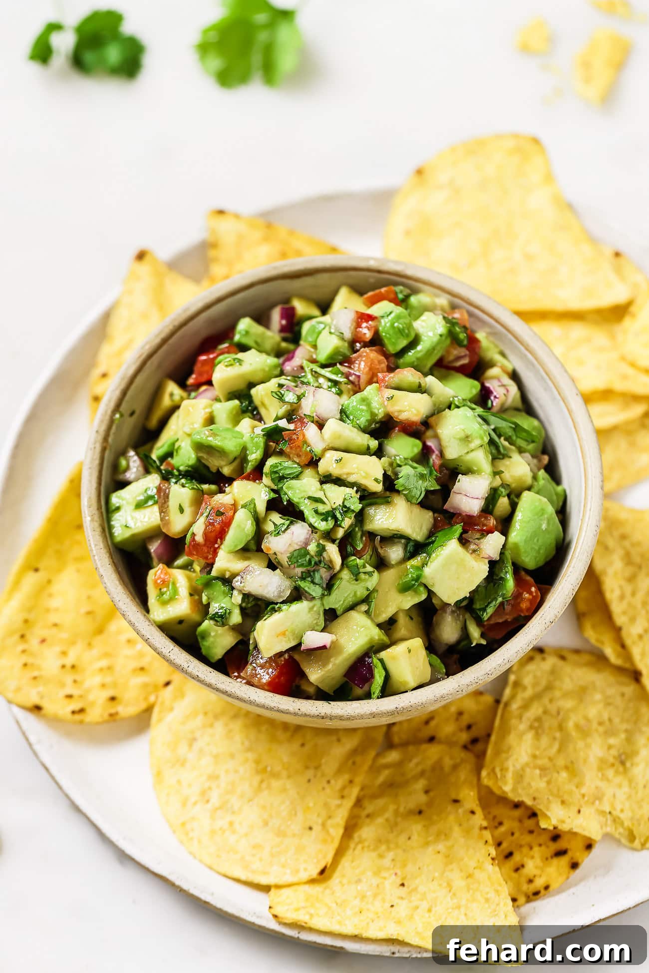 Emerald Zing Salsa 2 A bowl of fresh avocado salsa with crunchy tortilla chips ready for dipping.