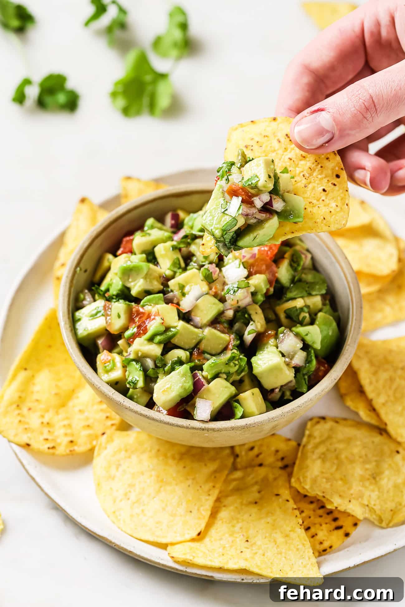 Emerald Zing Salsa 5 A bowl of avocado salsa resting on a plate filled with crispy tortilla chips.