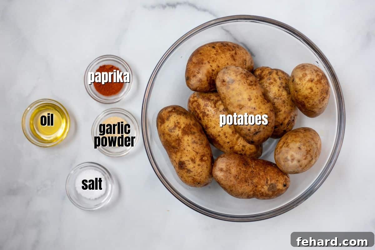 Fresh ingredients laid out on a kitchen counter for air fryer French fries, including russet potatoes, a bottle of olive oil, and small bowls of garlic powder, paprika, and kosher salt.