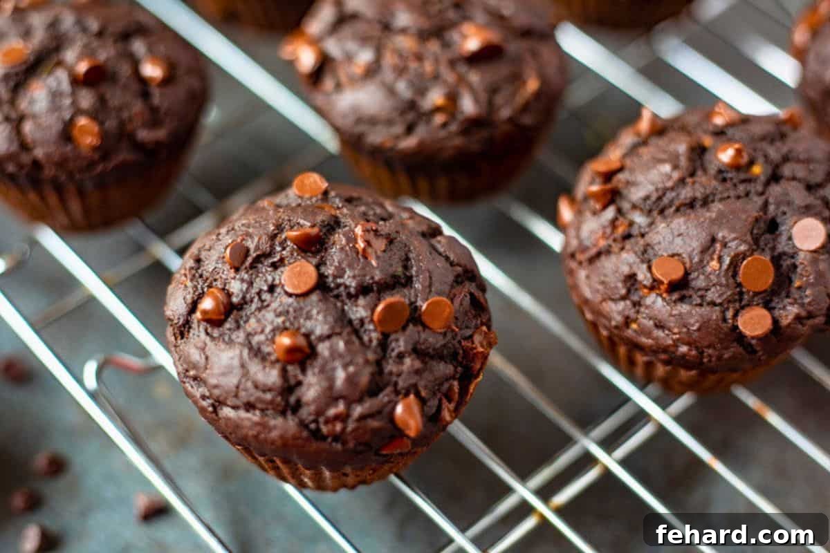 Delicious chocolate zucchini muffins made with whole wheat flour, cooling on a wire rack after being freshly baked, ready to be enjoyed as a wholesome and kid-friendly snack.