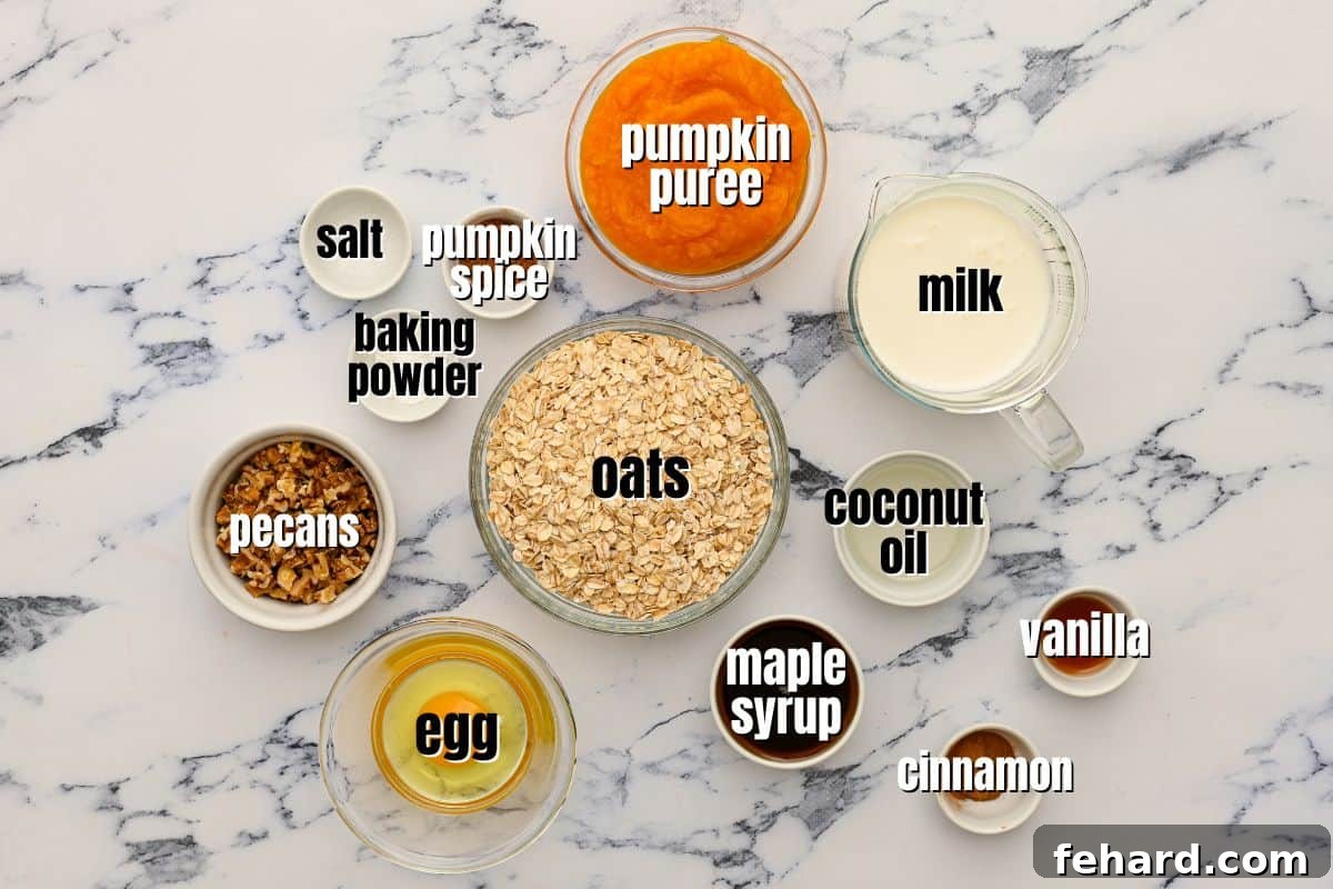 A selection of fresh ingredients laid out on a kitchen counter, clearly labeled for making baked pumpkin oatmeal. This includes oats, a can of pumpkin puree, milk, maple syrup, an egg, and various spices, all ready for preparation.