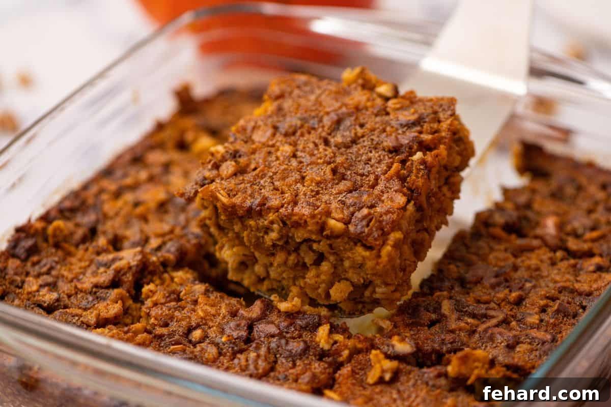A freshly baked pan of pumpkin oatmeal, golden-brown and steaming gently, with a spatula carefully lifting out a perfect slice. The texture appears invitingly soft yet firm, hinting at the delightful flavors within.