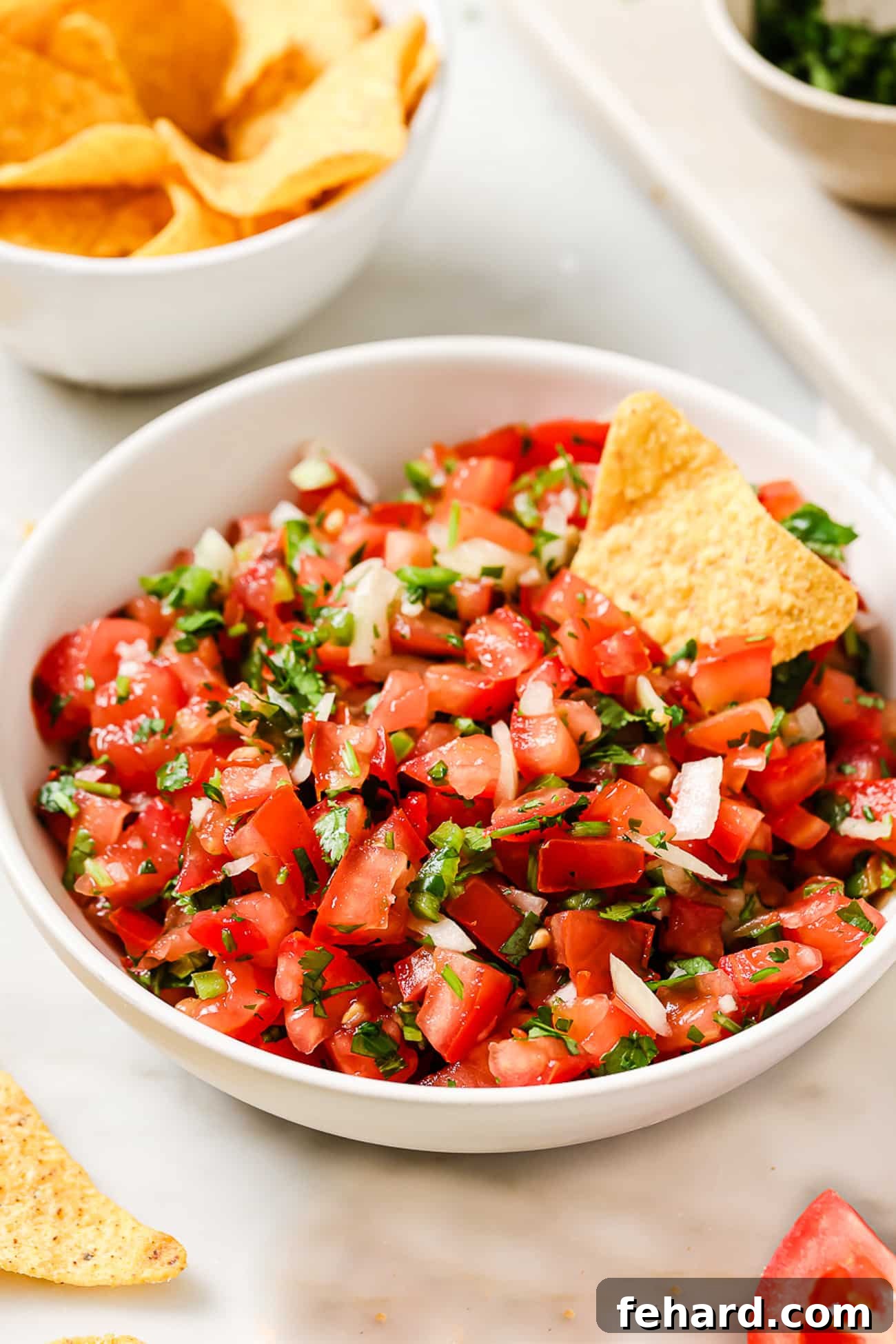 Vibrant Fresh Salsa 2 A vibrant bowl of fresh Pico de Gallo with a single tortilla chip dipped in it, accompanied by a bowl of chips in the background, showcasing its delicious texture.