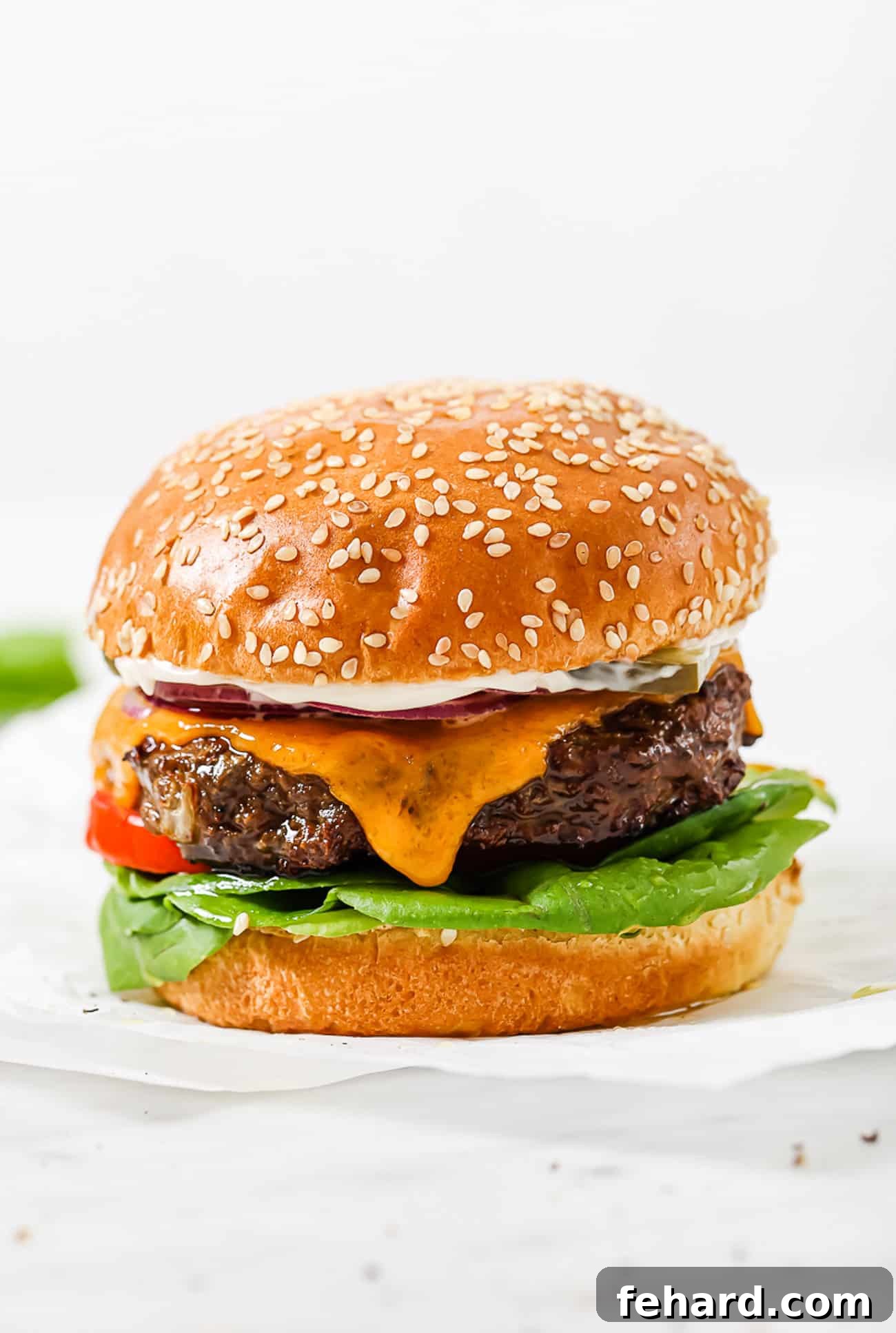 The Ultimate Homemade Burger 6 A close-up side view of a gourmet hamburger featuring a toasted sesame seed bun, melted cheese, fresh green lettuce, a thick slice of tomato, and a red onion ring.