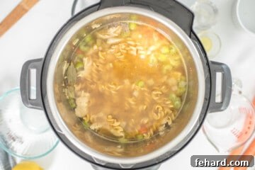 Ingredients for turkey noodle soup inside inner pot of instant pot prior to pressure cooking.