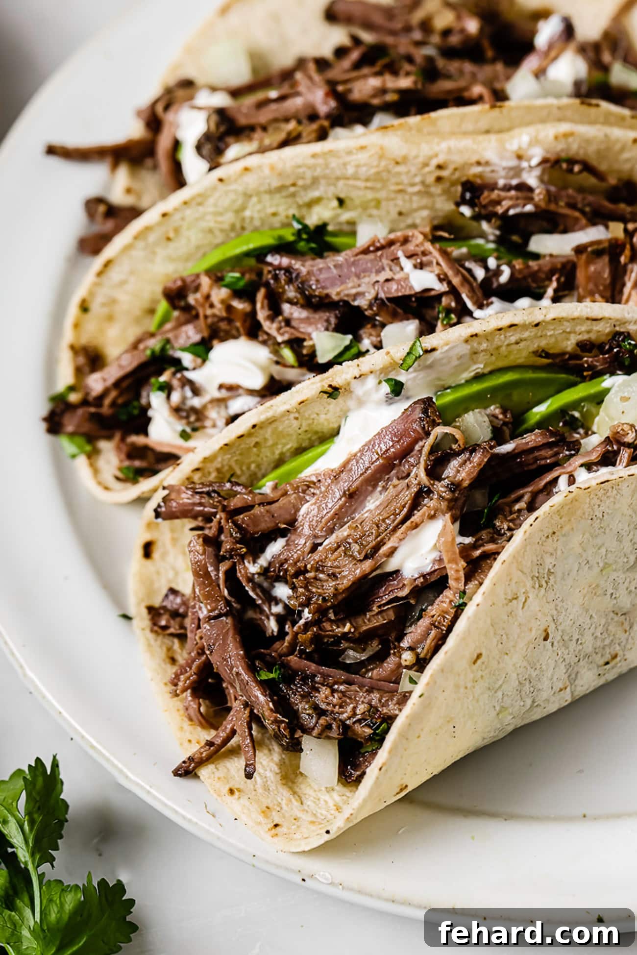 A closeup of barbacoa tacos topped with fresh onions, vibrant cilantro, and creamy avocado slices, ready to be enjoyed.
