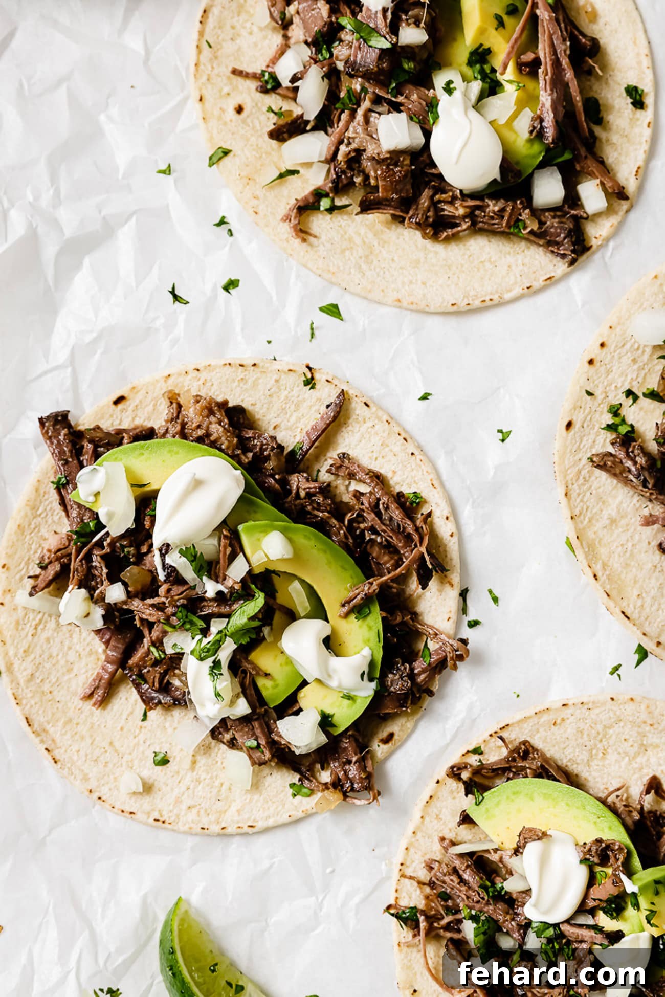 Barbacoa tacos beautifully arranged, generously topped with fresh onion, creamy avocado, bright cilantro, and a drizzle of sour cream.
