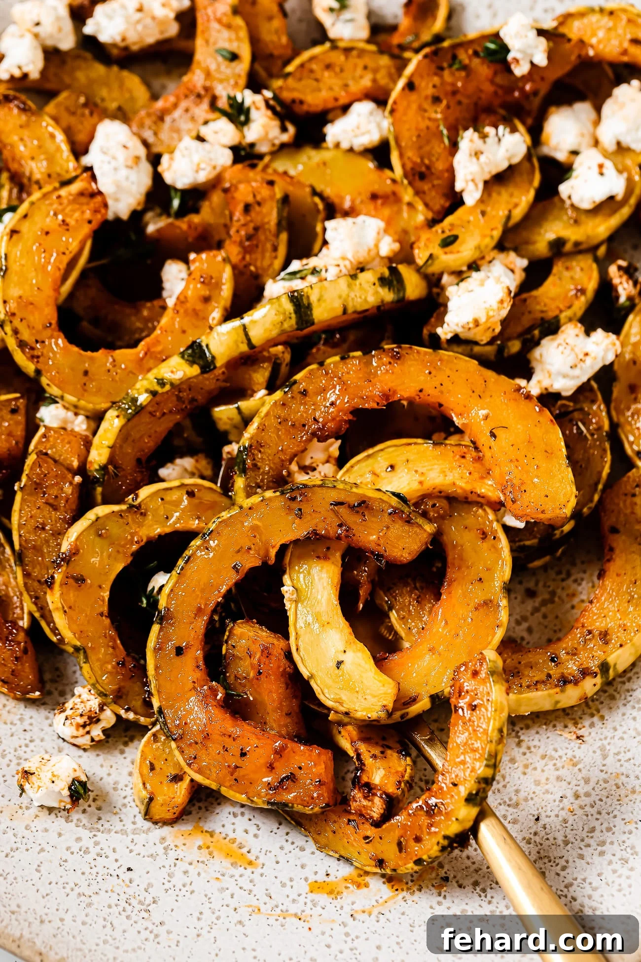 Caramelized Delicata Squash 8 Roasted slices of delicata squash garnished with goat cheese.