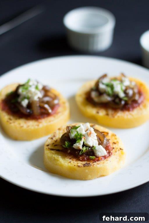 Polenta with Tomato Sauce, Balsamic Onions and Feta close up of Grilled Polenta with Tomato Sauce, Balsamic Onions and Feta_-7 copy