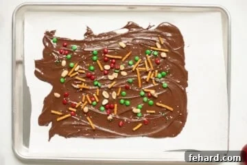 Melted chocolate with pretzels, M&Ms, sprinkles, and nuts spread over it.