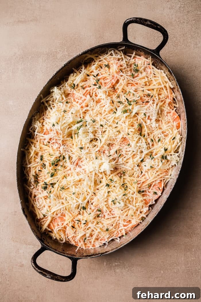 Golden Sweet Potato Bake 7 Sweet potato gratin assembled in an oval baking dish, topped with extra cheese and ready for baking.