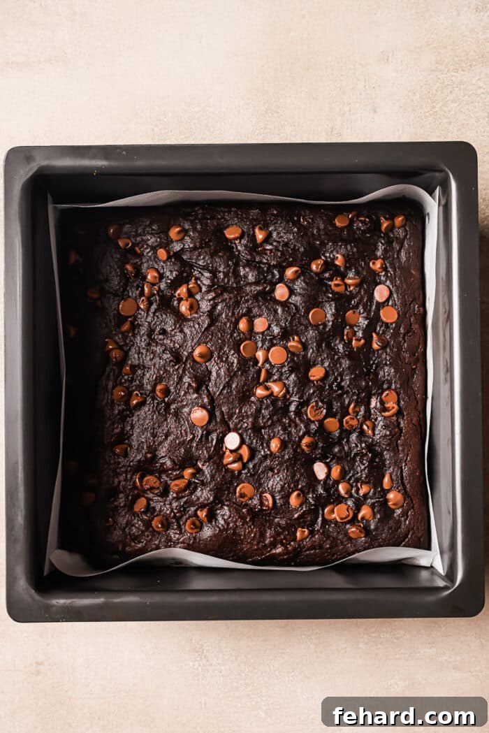 An overhead view of freshly baked healthy pumpkin brownies cooling in a square baking dish, showing a perfectly fudgy texture.