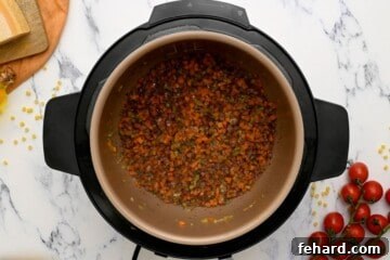 One Pot Wonder Pasta Fagioli 5 Sauteed onions, carrots, celery in inner pot deglazed with red wine.