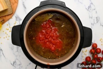 One Pot Wonder Pasta Fagioli 6 Ingredients Layered in Instant Pot for Pasta Fagioli.