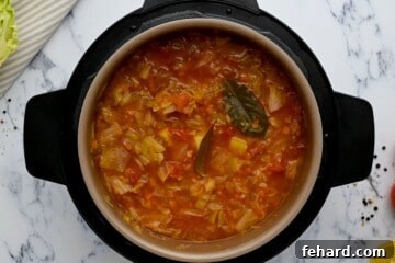 Ingredients for cabbage soup inside inner pot after pressure cooking.