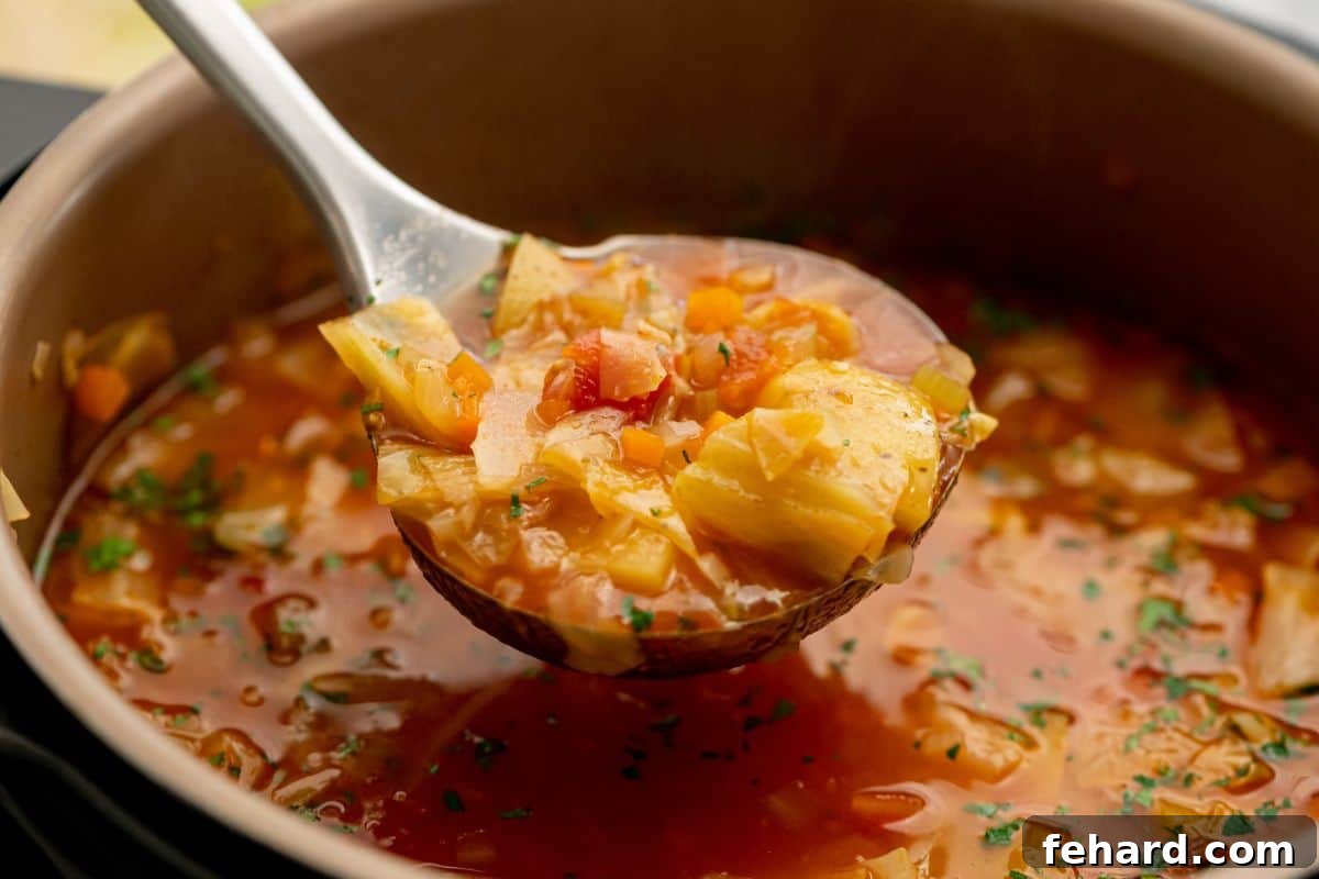 IP Cabbage Soup Recipe - Serving Ladle scooping out steaming vegetarian cabbage soup from the Instant Pot, ready to serve.