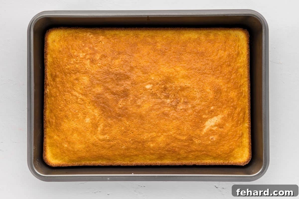 A beautifully golden brown and perfectly risen Hot Milk Cake, fresh out of the oven and still in its metal baking pan.