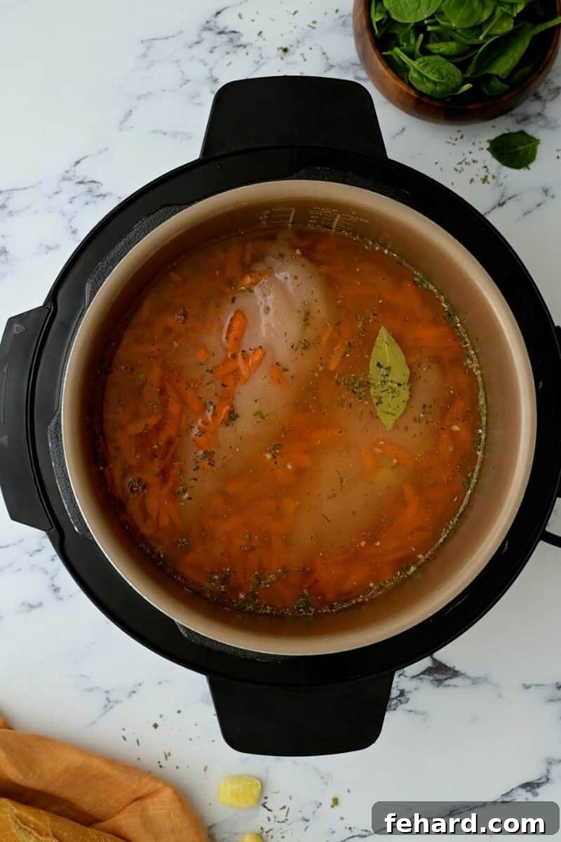 Chicken stock, spices, carrots, and raw chicken breasts inside the Instant Pot's inner pot.