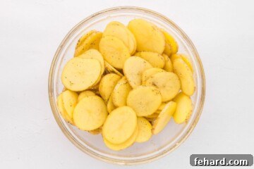 Thinly sliced potatoes in large mixing bowl tossed with salt, pepper, garlic powder, onion powder, and oil.