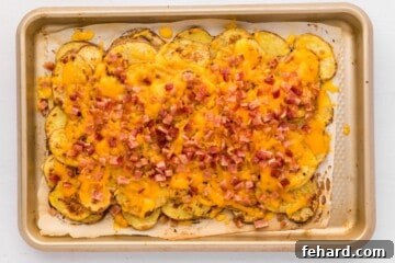 Irish Nachos on baking sheet topped with melted cheddar and bacon.