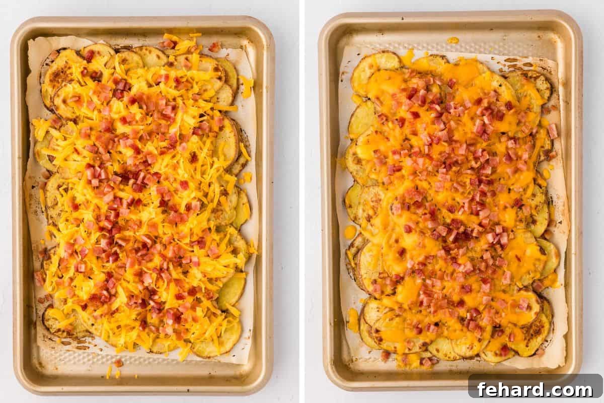 Cheesy Potato Nachos Assembly Side by side photos of crispy baked potato slices layered on a baking sheet, first topped with shredded cheddar and bacon, then after baking with perfectly melted cheese.