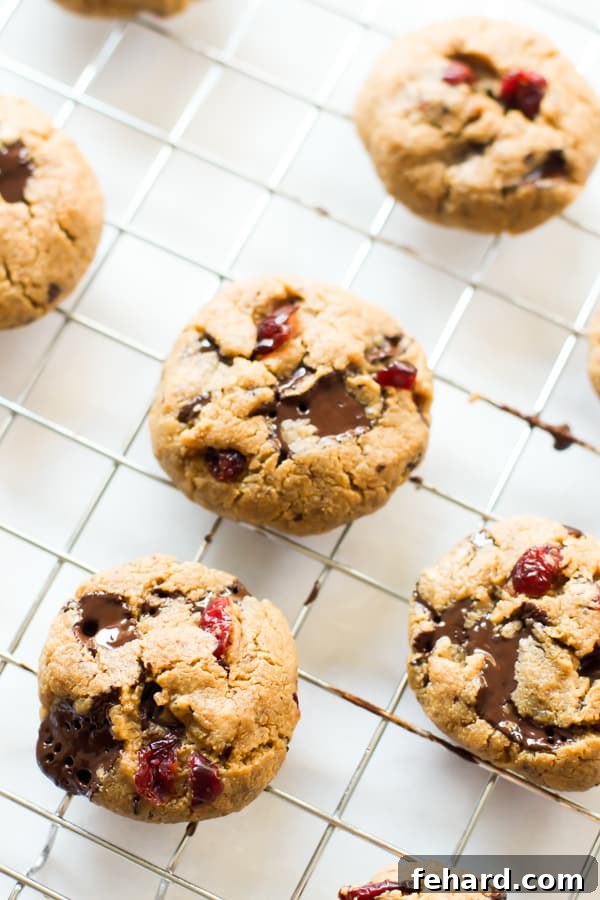 Close-up of Cranberry Chocolate Chip Cookies with visible cranberries and chocolate chips, arranged on a rustic surface.