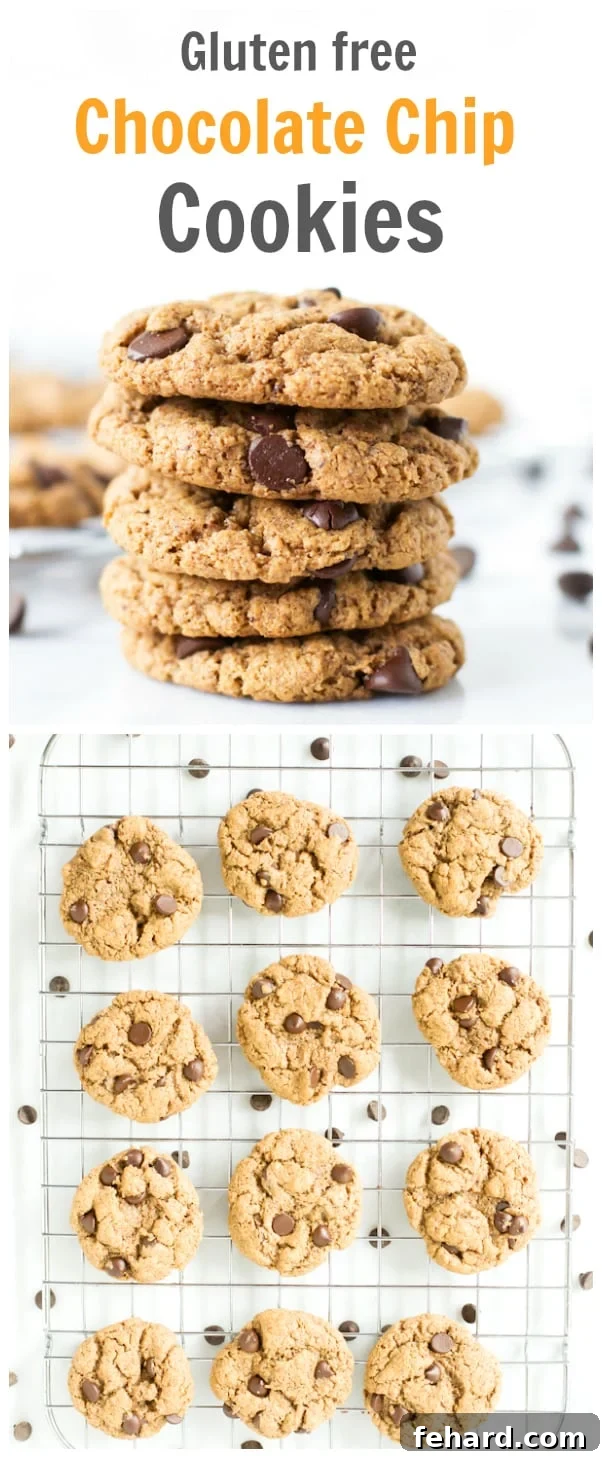 A beautifully arranged stack of gluten-free chocolate chip cookies, garnished with extra chocolate chips, inviting you to bake them.