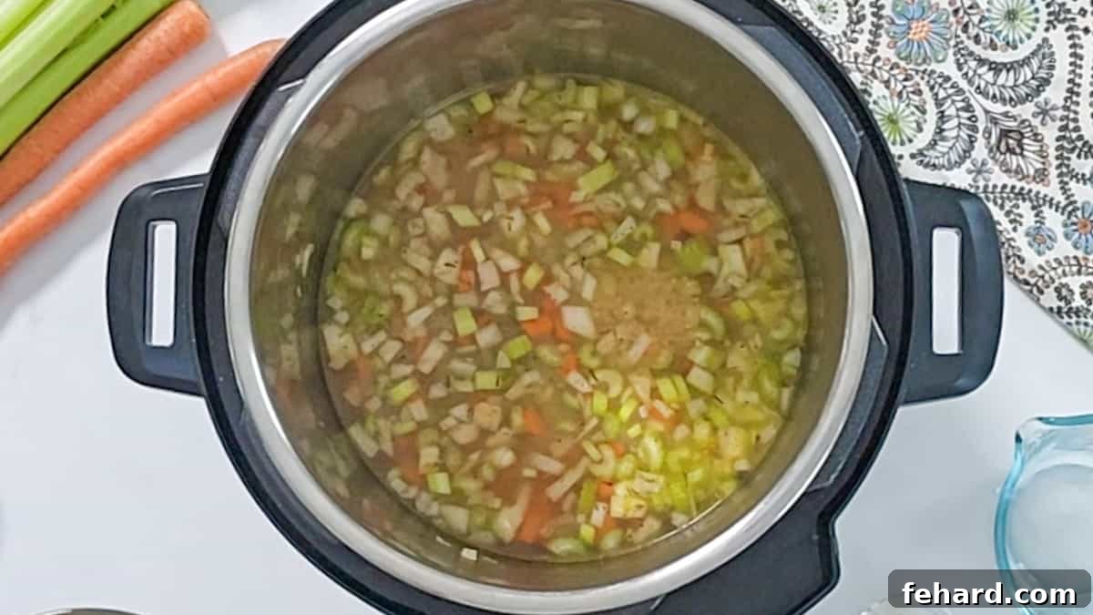 Deglazing Instant Pot for Soup The Instant Pot's inner pot, with sautéed aromatics, after being deglazed with chicken stock. The bottom is clear of any stuck-on bits, ready for the next ingredients.