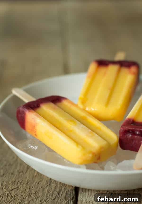Close-up shot of a single Mango Plum Popsicle, showing the distinct fruit layers