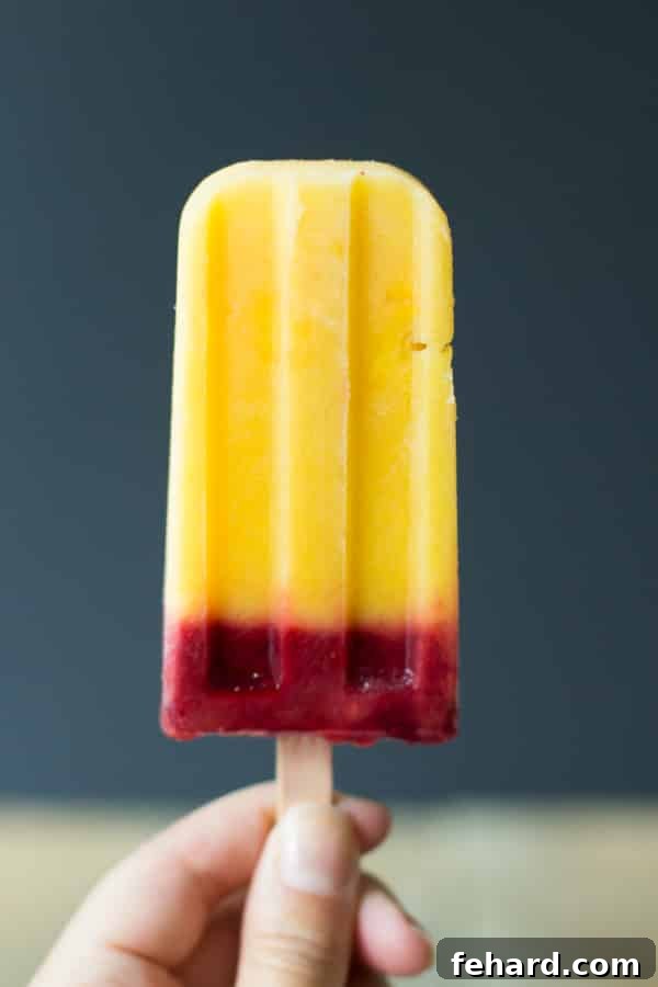 A Mango Plum Popsicle laying down, showing its smooth texture and vibrant hues