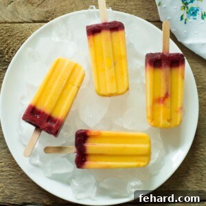Mango Plum Popsicle