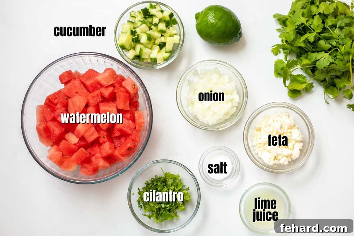 Ingredients for Watermelon Salsa labeled on counter with title text overlay.