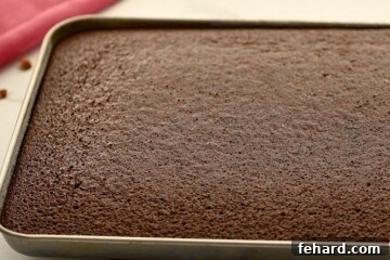 Baked Chocolate Sheet Cake in a Sheet pan, perfectly golden brown and ready for icing.