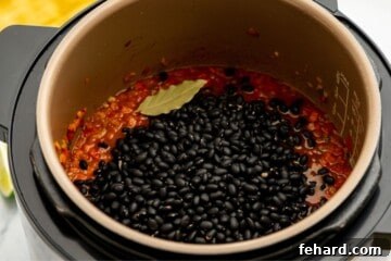 Delicious Instant Pot Black Bean Soup 4 Ingredients for Instant Pot Black Bean Soup inside inner pot with dried beans on the top.