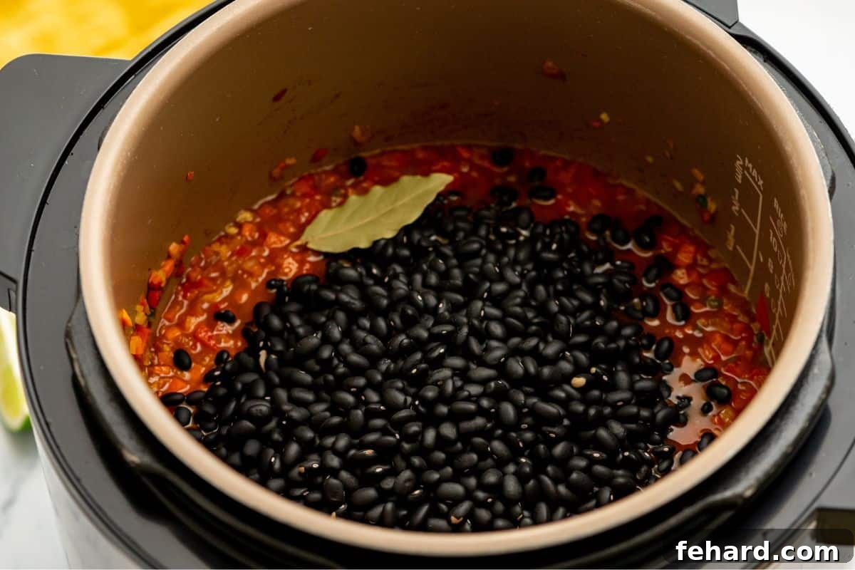 Pressure Cooker Black Bean Soup Ingredients for Instant Pot Black Bean Soup inside inner pot with dried beans on the top.
