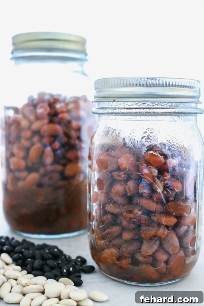 Two glass jars filled with perfectly cooked pinto beans, with dried beans scattered on the side, ready for storage or use.