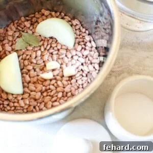 Beans in the Instant Pot